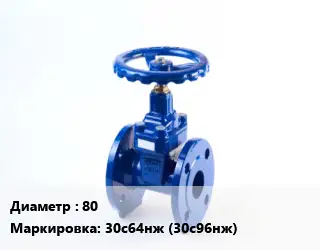 Задвижка стальная 80 30с64нж (30с96нж)